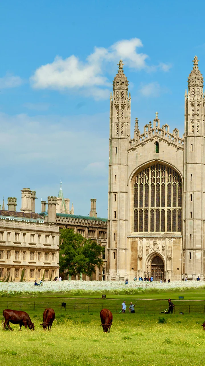 Cambridge one-day tour, Cambridge University student guide, Cambridge rowing, Cambridge boat tour, Cambridge Chinese guide