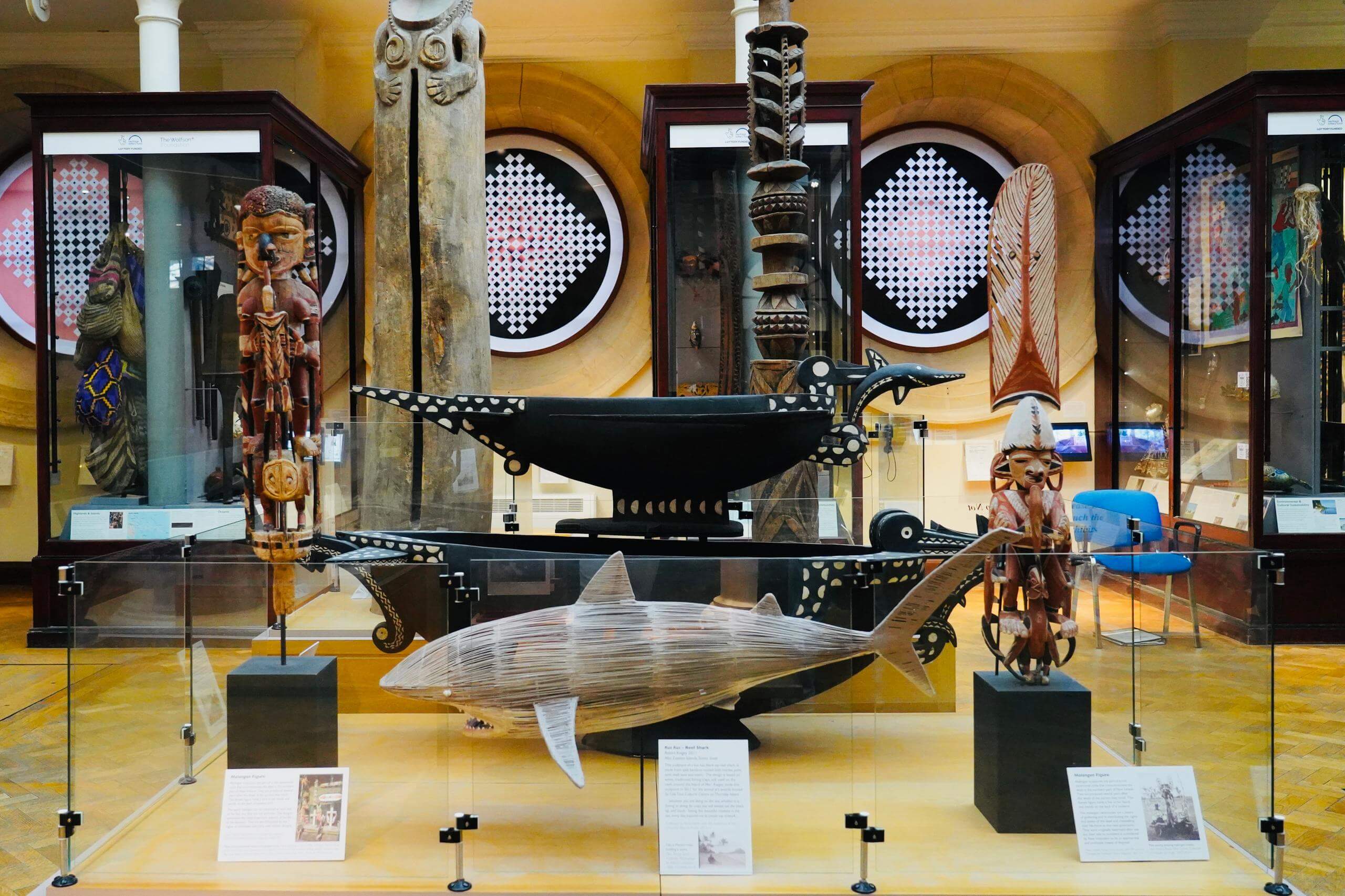 Cambridge Zoology Museum Guided Tour