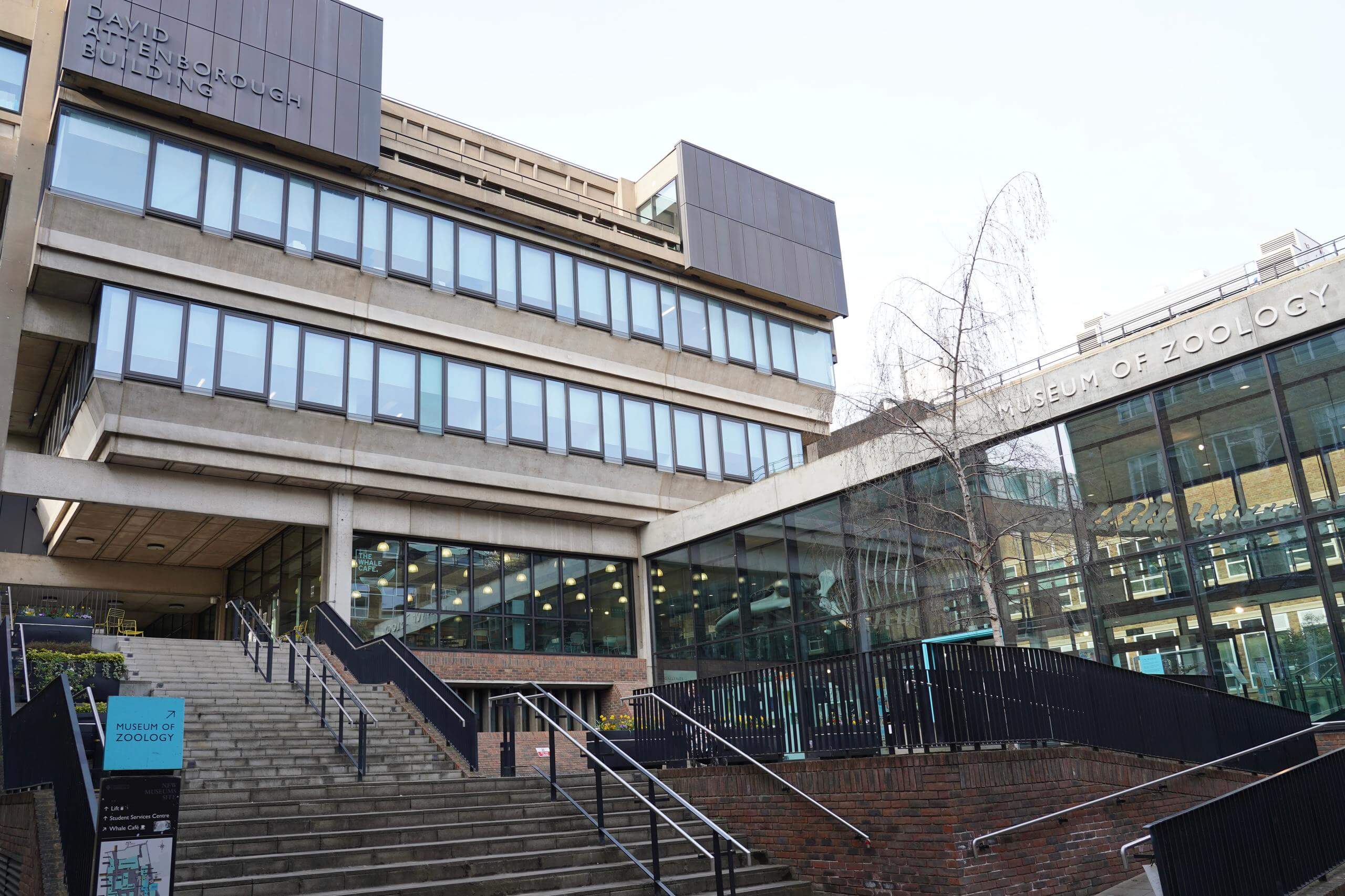 Private Cambridge Zoology Museum Guided Tour