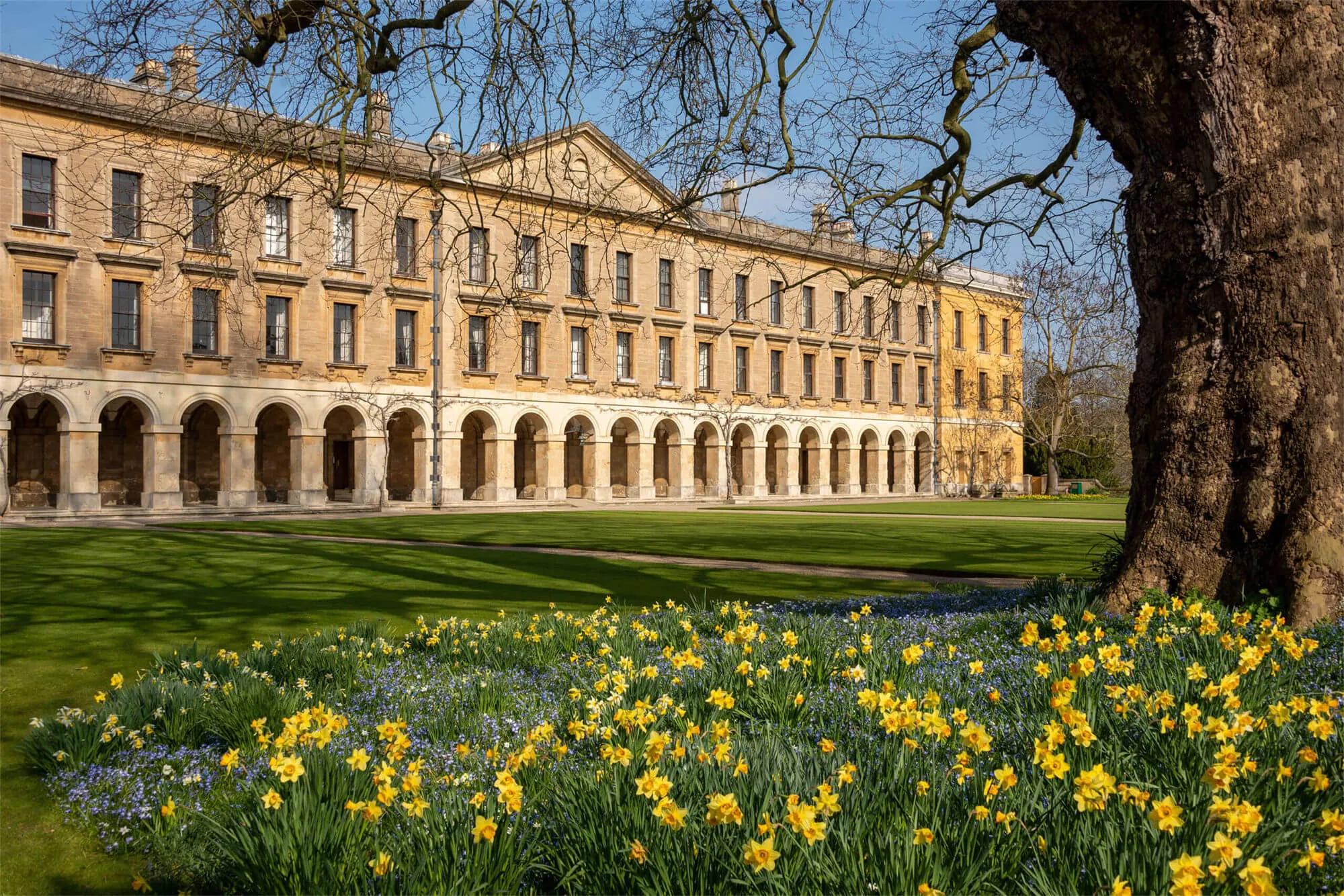 Magdalen College