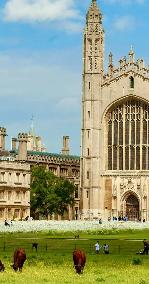 cambridge punting tours, punting in cambridge, cambridge walking tours, cambridge punting and walking tour, river cam punting tour, college backs punting tour, student-led tours cambridge, we are camb