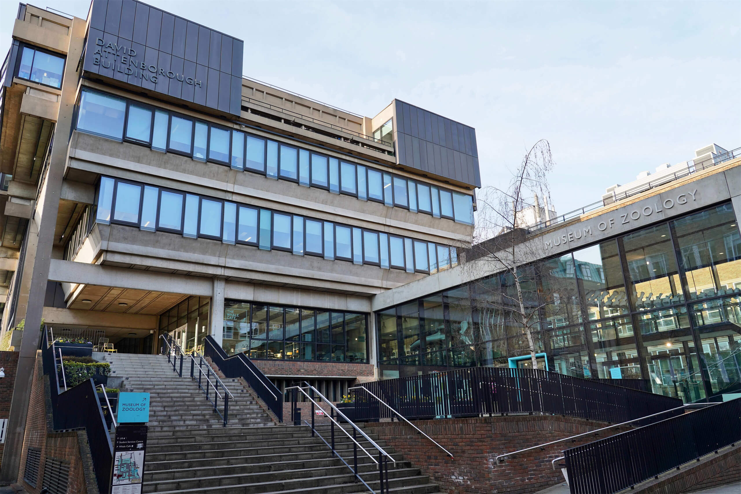 University Museum of Zoology Cambridge