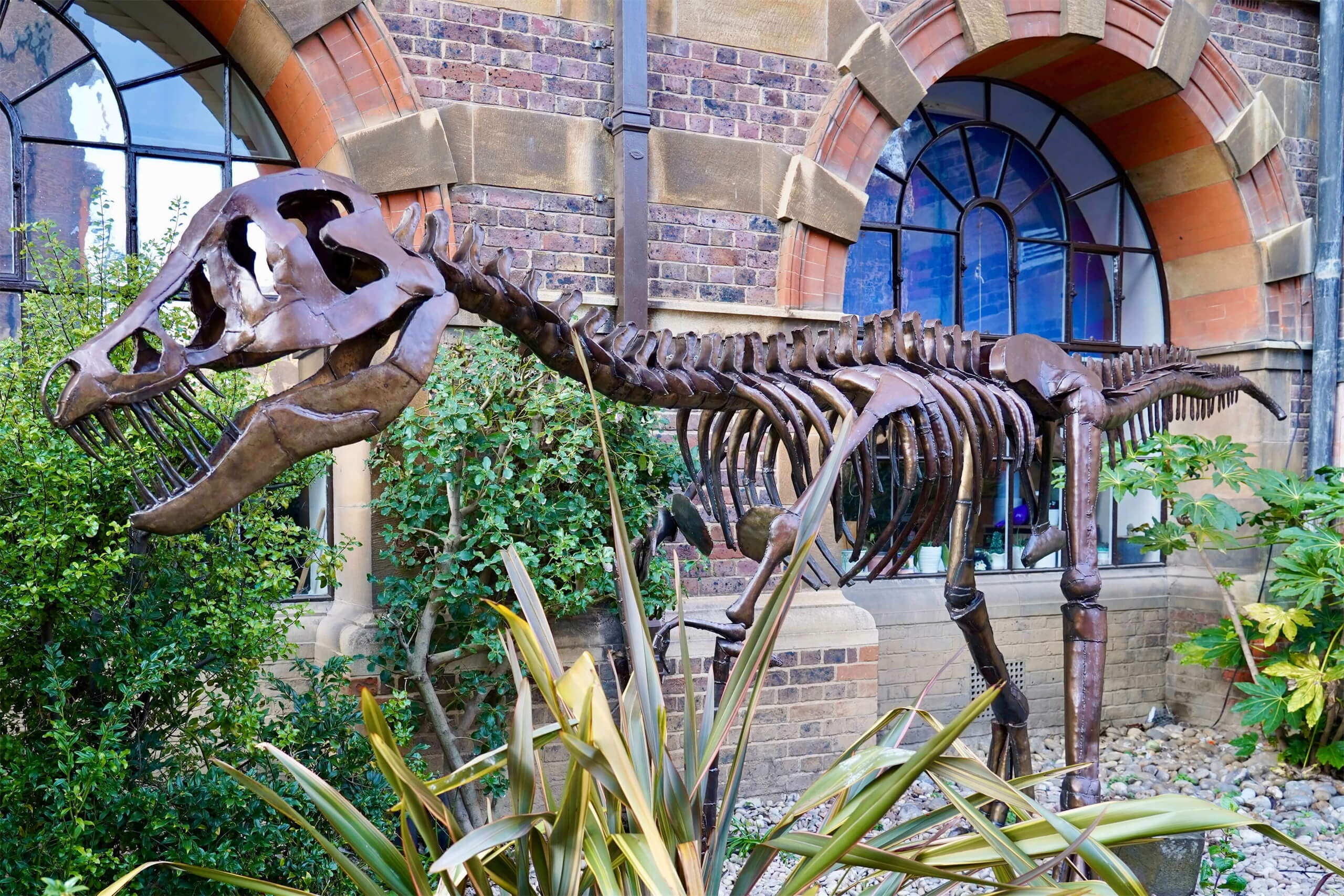 Sedgwick Museum Cambridge: Earth Sciences & Fossils