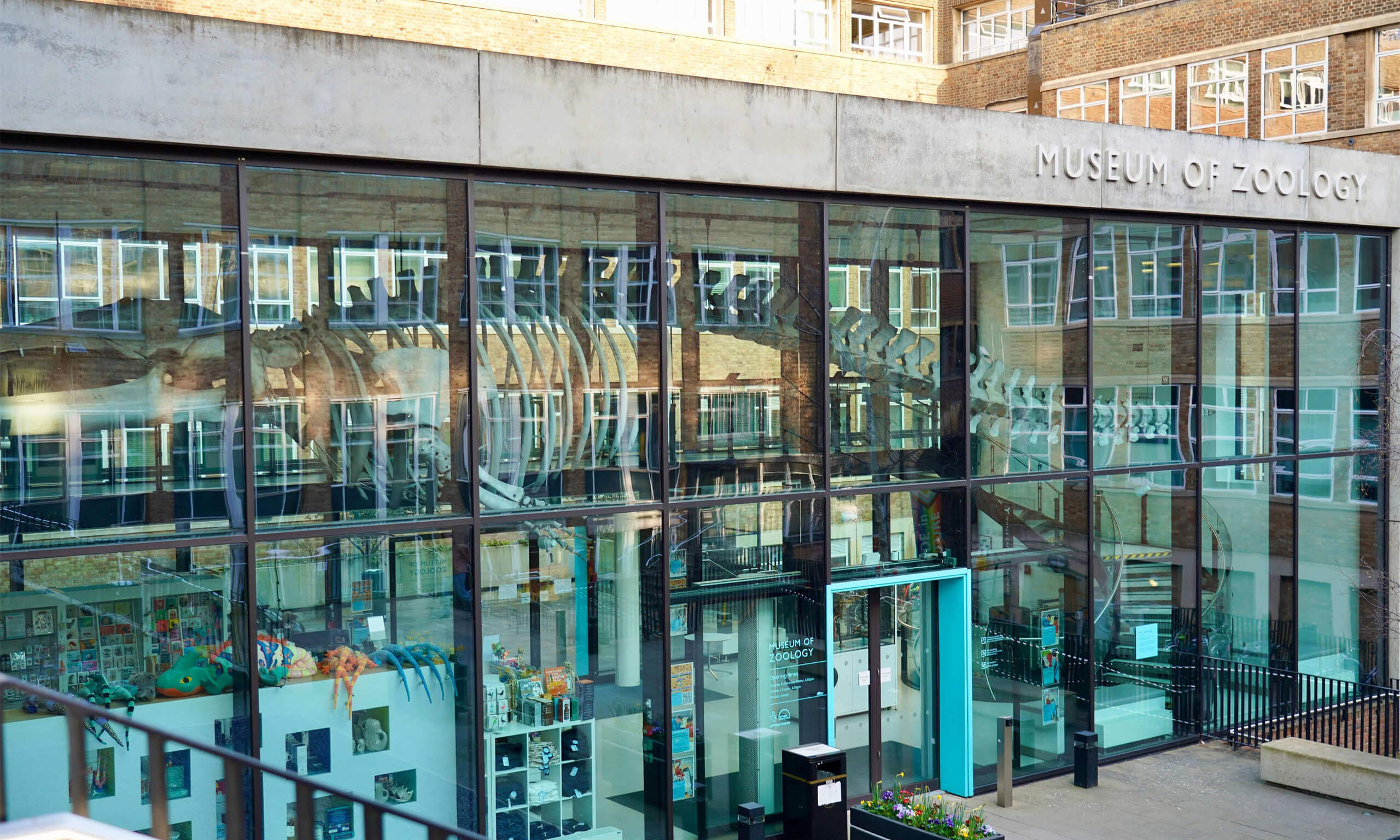 Private Zoology Musuem Tour