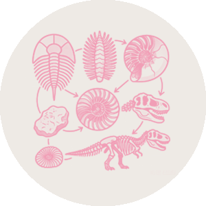 Archaeological Discoveries